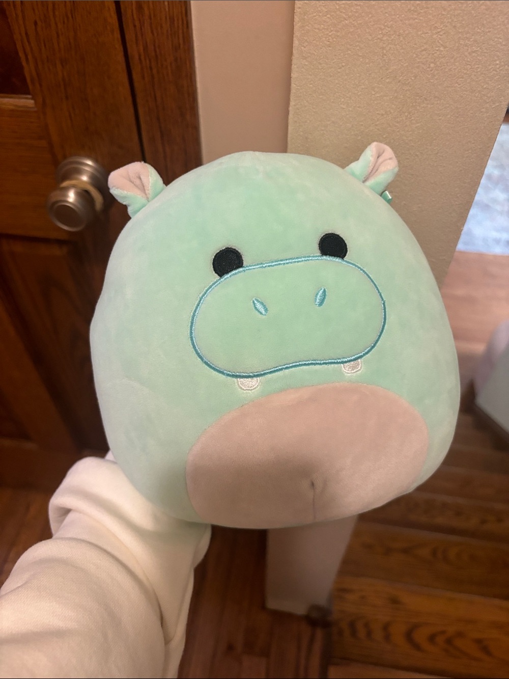 Mint Green Hippo Squishmallow
